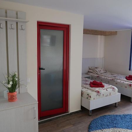 Pensiunea Arthur Râmnicu Vâlcea Extérieur photo
