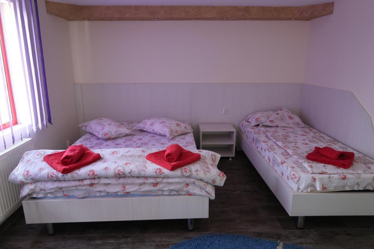 Pensiunea Arthur Râmnicu Vâlcea Extérieur photo