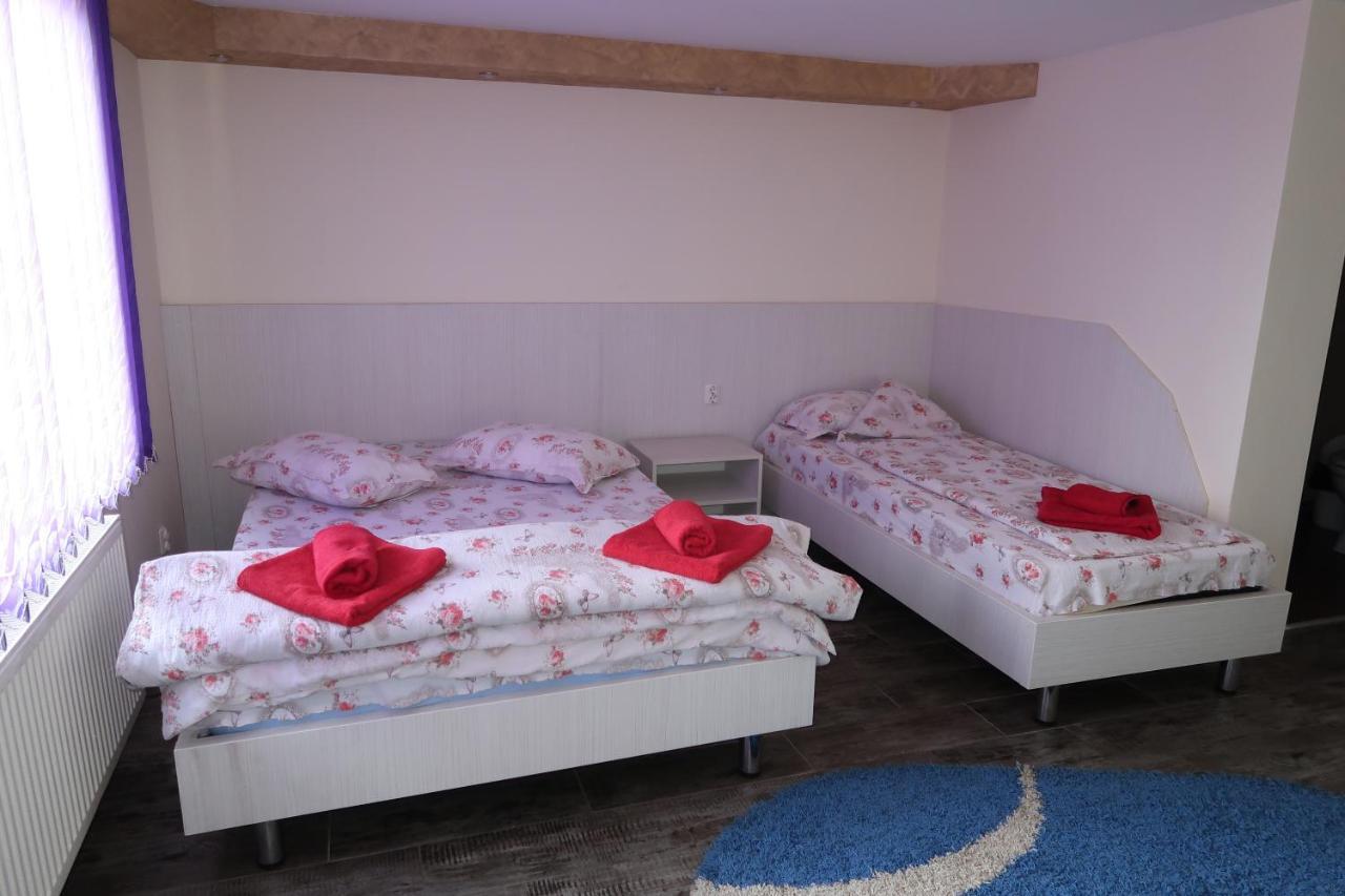 Pensiunea Arthur Râmnicu Vâlcea Extérieur photo