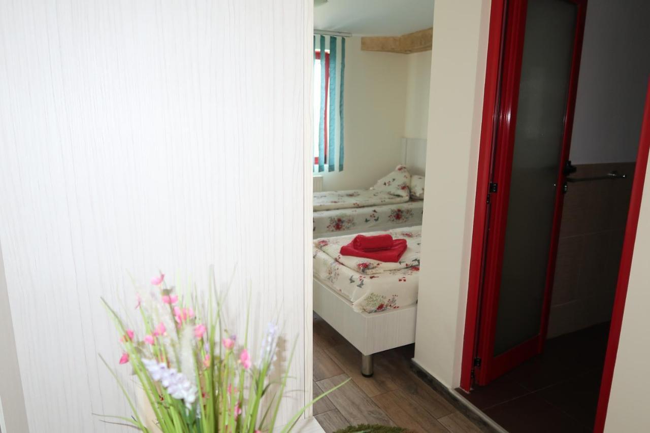 Pensiunea Arthur Râmnicu Vâlcea Extérieur photo